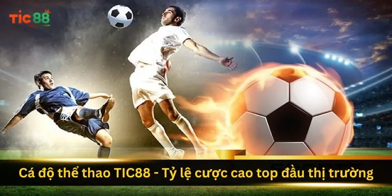 Trang chủ 11 ca-do-the-thao-tic88-ty-le-cuoc-cao-top-dau-thi-truong