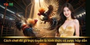 cach-choi-da-ga-truc-tuyen-la-hinh-thuc-ca-cuoc-hap-dan
