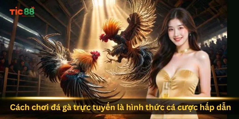 cach-choi-da-ga-truc-tuyen-la-hinh-thuc-ca-cuoc-hap-dan