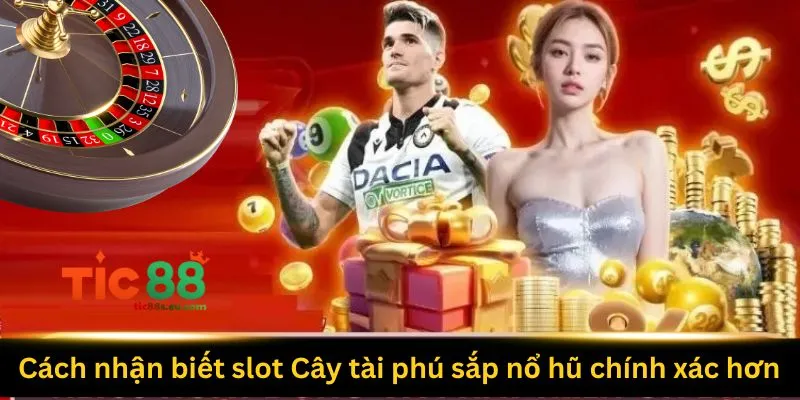 cach nhan biet slot cay tai phu sap no hu chinh xac hon