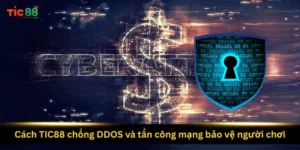 cach-tic88-chong-ddos-va-tan-cong-mang-bao-ve-nguoi-choi