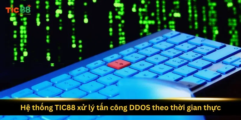 he-thong-tic88-xu-ly-tan-cong-ddos-theo-thoi-gian-thuc