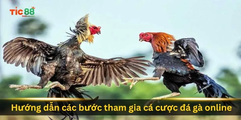 huong-dan-cac-buoc-cach-choi-da-ga-online