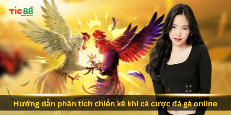 huong-dan-phan-tich-chien-ke-khi-ca-cuoc-da-ga-online