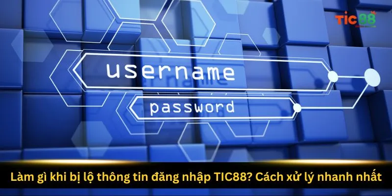 lam-gi-khi-bi-lo-thong-tin-dang-nhap-tic88-cach-xu-ly-nhanh-nhat