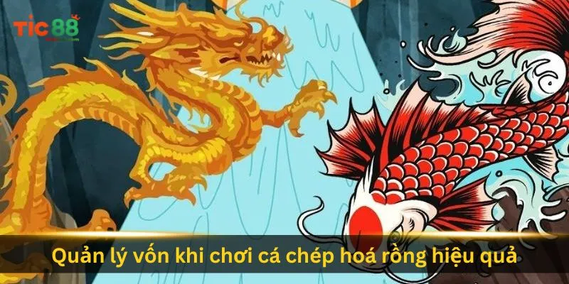 quan-ly-von-khi-choi-ca-chep-hoa-rong-hieu-qua