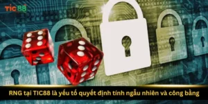 rng-tai-tic88-la-yeu-to-quyet-dinh-tinh-ngau-nhien-va-cong-bang