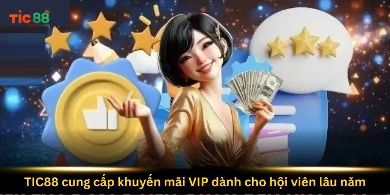 tic88-cung-cap-khuyen-mai-vip-danh-cho-hoi-vien-lau-nam