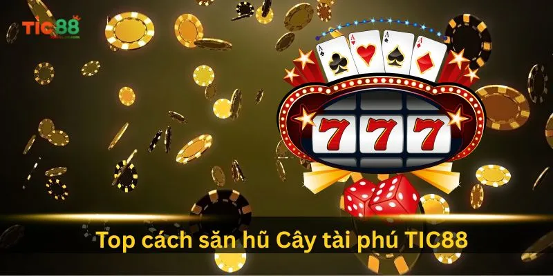 top cach san hu cay tai phu tic88 duoc cac bet thu pro ap dung 1